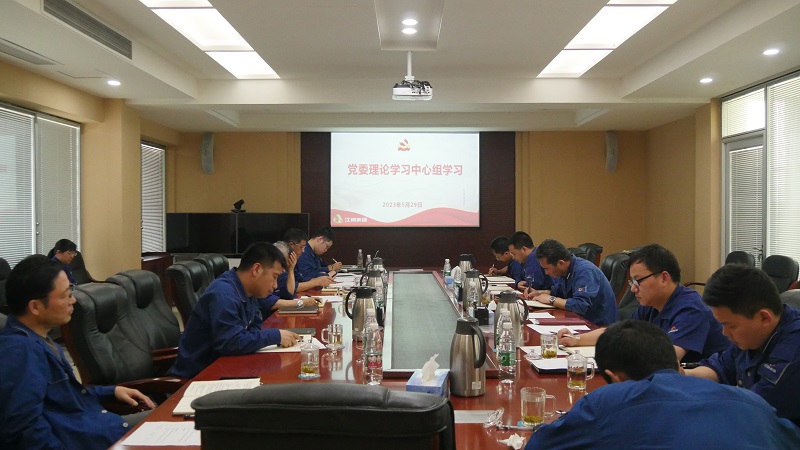 5月29日下午，城門山銅礦舉行黨委理論學(xué)習(xí)中心組專題學(xué)習(xí)會(huì)議（黃華堂）.jpg